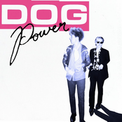 DOG Power