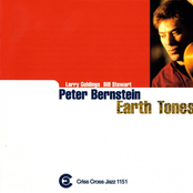 Peter Bernstein: Earth Tones
