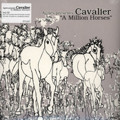 A Million Horses