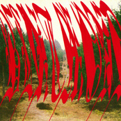 Wanderer Des Schwarzpfades