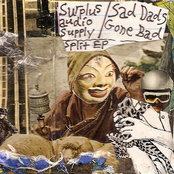 Surplus Audio Supply split