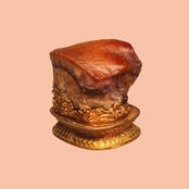 Komplizen der Spielregeln