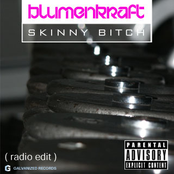 Skinny Bitch (maxi-single)