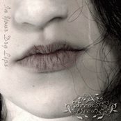 In Your Dry Lips