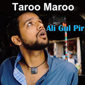 Taroo maroo