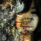 歪みを愛します: A Growing Portfolio of Self Indulgence