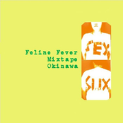 Feline Fever
