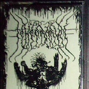 The Distortionated Guts of the Idolatry