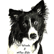 Pani Galewska & William Blake