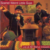 The Phone Book Song by Scared Weird Little Guys