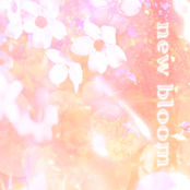 new bloom