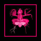 В добрый путь, капитан! / По горячим слезам