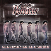 Seguimos En El Camino