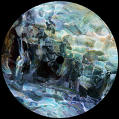 Vortex Traks Vol. 01