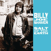 Fun While It Lasted by Billy Joe Shaver