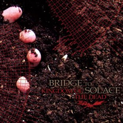 Kingdom Of The Dead by Bridge To Solace