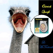 Le McTesticule