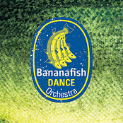 White Shores by Bananafish Dance Orchestra