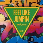 Feel Like Jumpin by Krafty Kuts