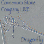 Dragonfly by Connemara Stone Company