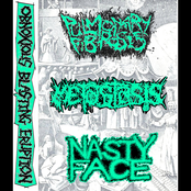 Obnoxious Blasting Eruption 3 Way Split