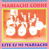 Mariachi Cobre: MARIACHI COBRE: Este es mi Mariachi