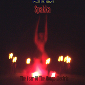 The Year Of The Mongo Electric