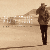 Angus Stone: Bird On the Buffalo