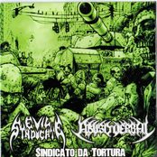 Abuso Verbal / Evil Syndicate