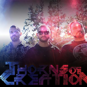 thorns of creation