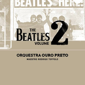 The Beatles, Vol. 2