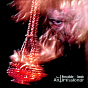 Der Antimissionar