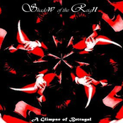 A Glimpse of Betrayal