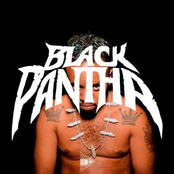 Black Pantha