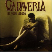 Enlightened by Cadaveria