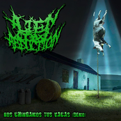 Nos Chingamos Tus Vacas