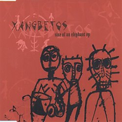 Xangbetos