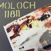 moloch 11811