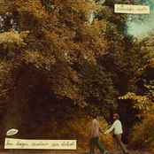 Las Hojas Sueñan Ser Árbol