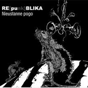 RE[punk}BLIKA. Nieustanne pogo