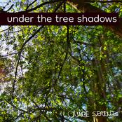 Under the Tree Shadows