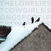 Songs for Fifty-Two Birds