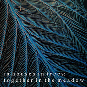 Together In The Meadow