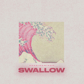 Swallow