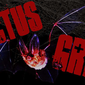 rictus grim