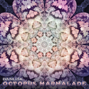 Octopus Marmalade