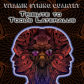 Schism by Vitamin String Quartet