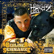 Geld Ist Der Grund by Bass Sultan Hengzt