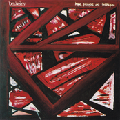 Hopes, Prayers and Bubblegum