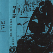 Sting Of The Honey Spider